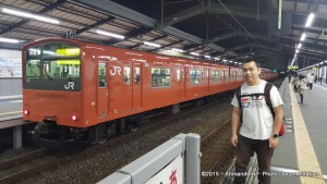 Osaka Loop Line