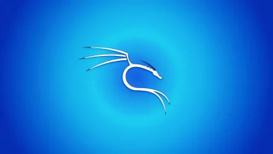 Kali Linux 2025.2 Dirilis: 13 Tools Baru & Pembaruan Car Hacking