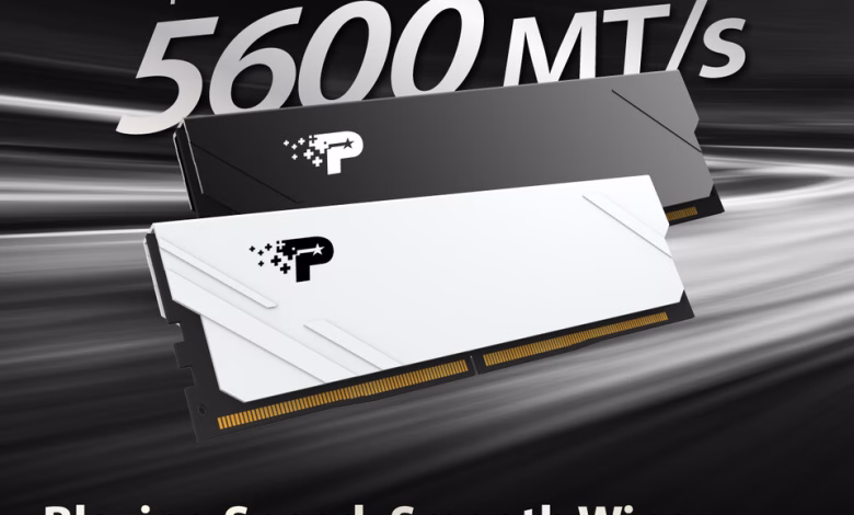 Patriot Umumkan Tiga Lini DDR5 Terbaru: Viper Xtreme 5 RGB, Viper Elite 5 RGB, dan Viper Venom RGB