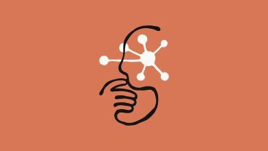 Anthropic Uji Claude Code, Saingan GPT‑Codex untuk Aplikasi Web