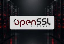 Ilustrasi OpenSSL untuk celah HollowByte DDoS