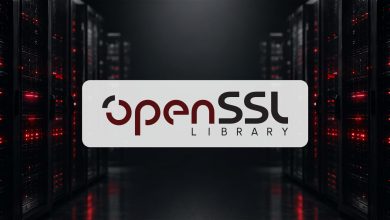 Ilustrasi OpenSSL untuk celah HollowByte DDoS