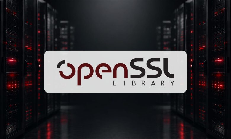 Ilustrasi OpenSSL untuk celah HollowByte DDoS